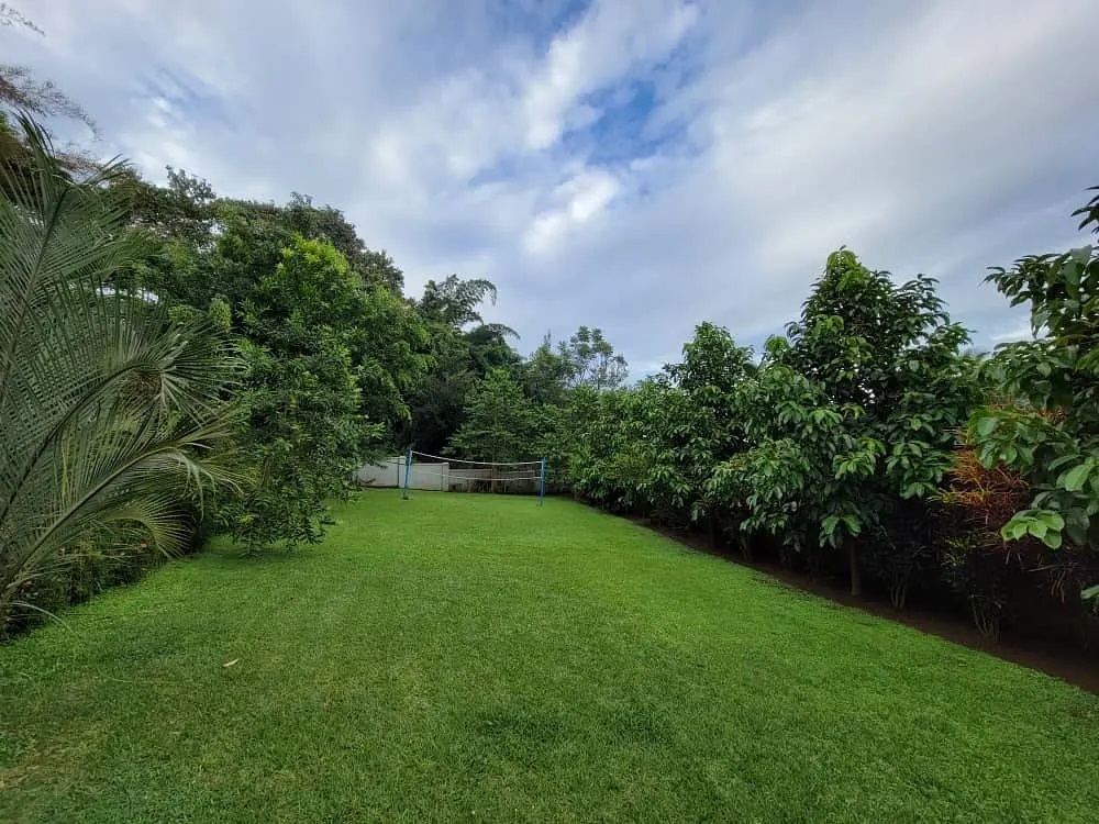 232517506_1201443210324732_5637525115459902654_n