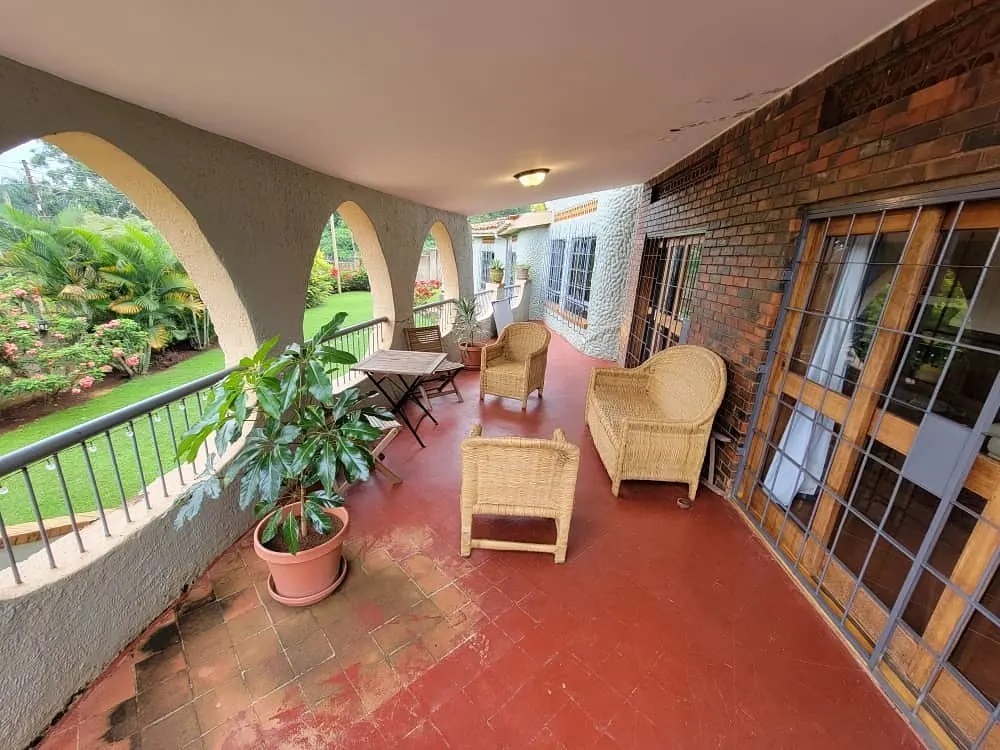 233109660_1201443166991403_2537606487139114909_n