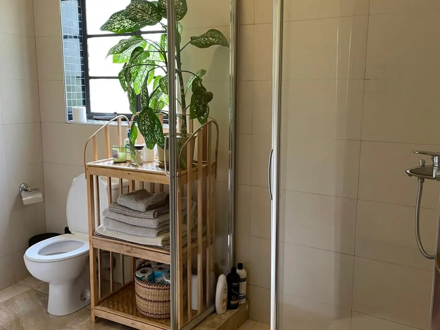 233132880_1201443193658067_3427103644184754659_n