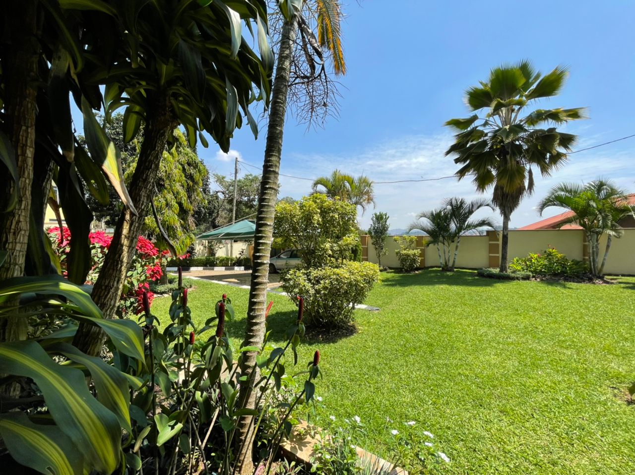 WhatsApp Image 2021-11-15 at 16.01.54