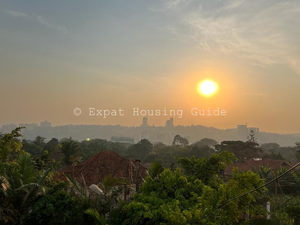 WhatsApp Image 2022-01-05 at 07.56.16 (7)