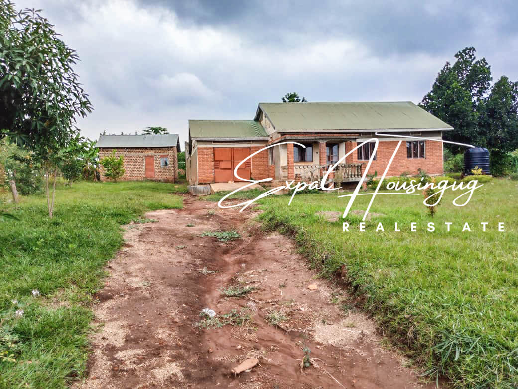 WhatsApp_Image_2022-08-03_at_8.35.46_AM_(2)