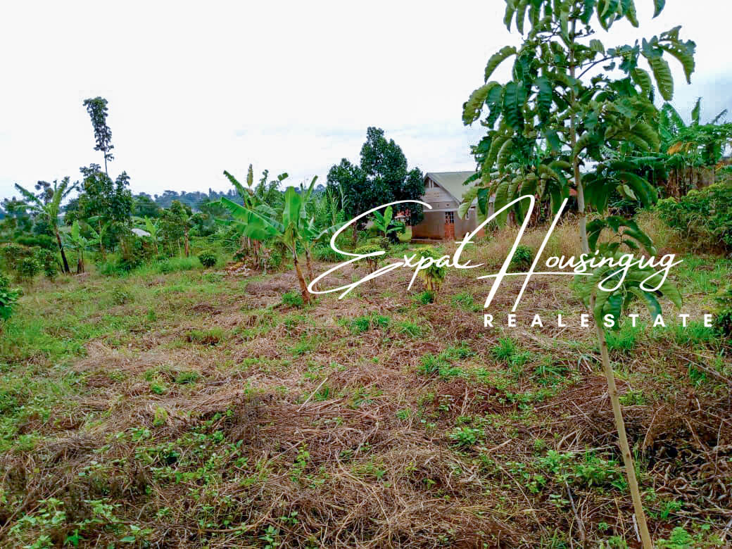 WhatsApp_Image_2022-08-03_at_8.35.47_AM_(4)