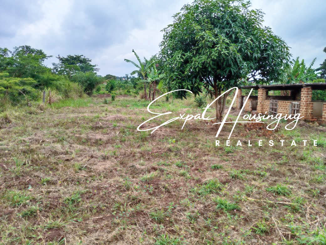 WhatsApp_Image_2022-08-03_at_8.35.47_AM_(5)