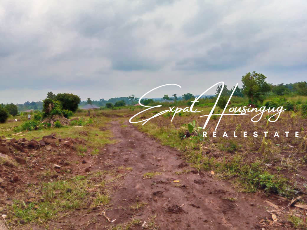 WhatsApp_Image_2022-08-03_at_8.35.47_AM_(6)