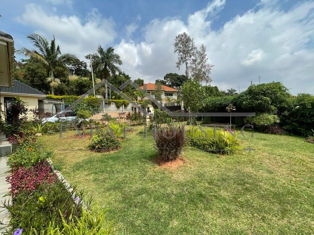 WhatsApp Image 2022-1