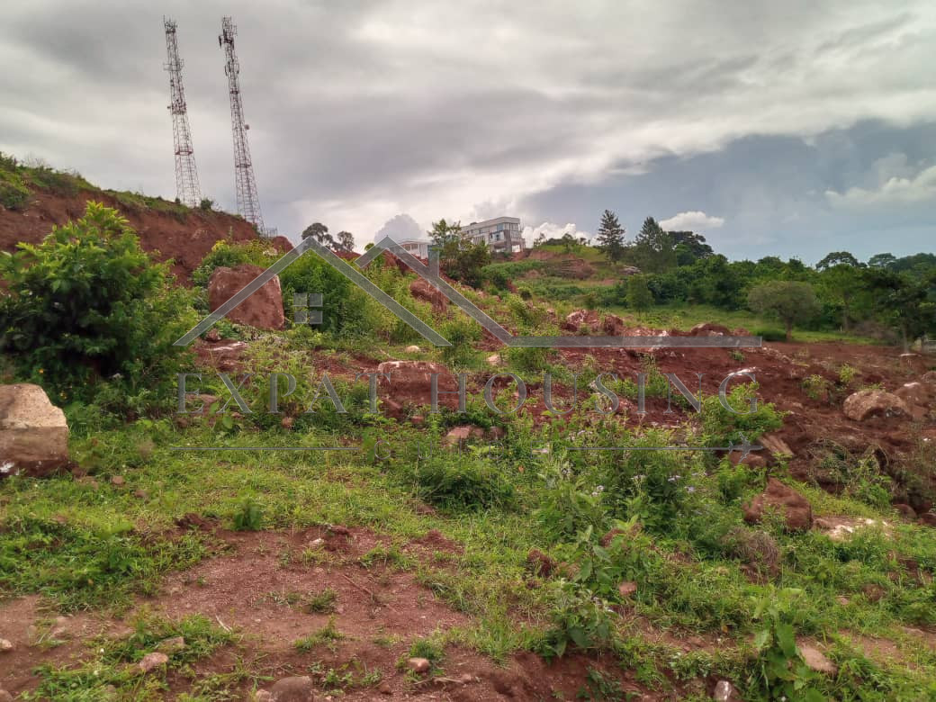 WhatsApp Image 2023-01-09 at 17.04.25