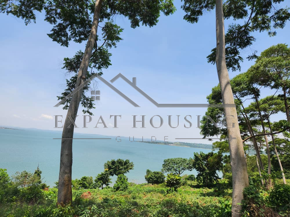 WhatsApp Image 2023-03-09 at 11.44.42