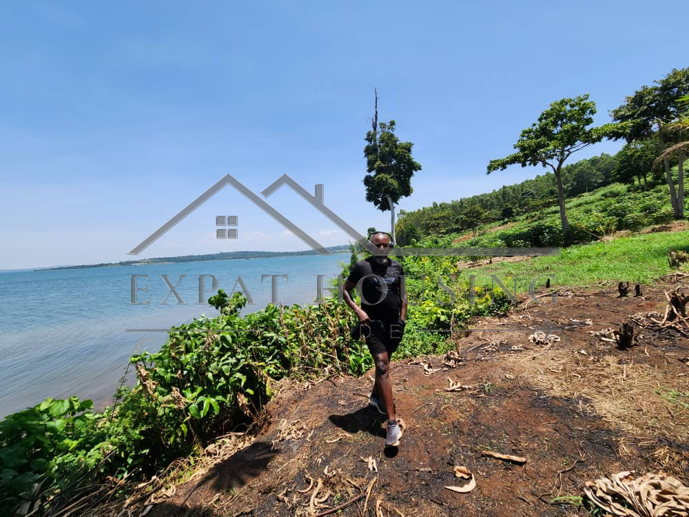 WhatsApp Image 2023-03-09 at 11.45.02 (1)