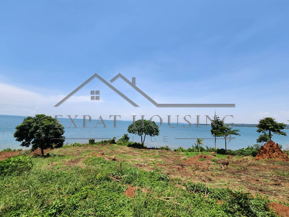 WhatsApp Image 2023-03-09 at 11.45.02