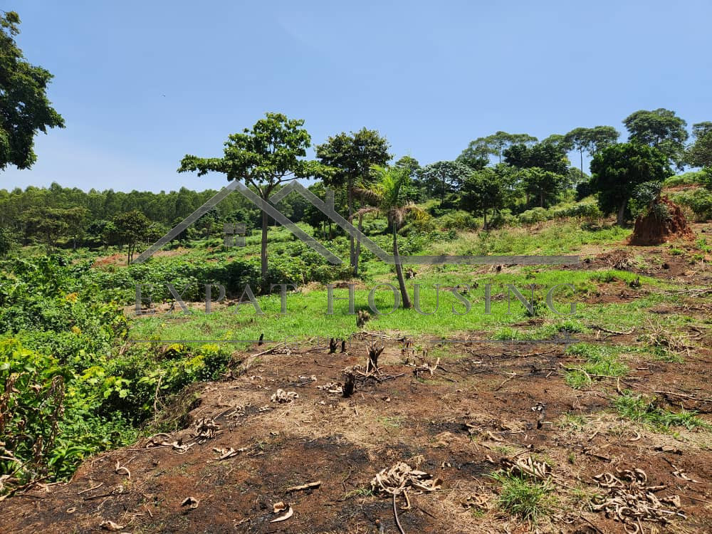 WhatsApp Image 2023-03-09 at 11.45.03 (1)