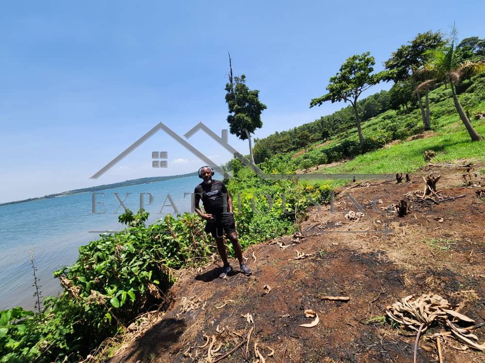 WhatsApp Image 2023-03-09 at 11.45.03