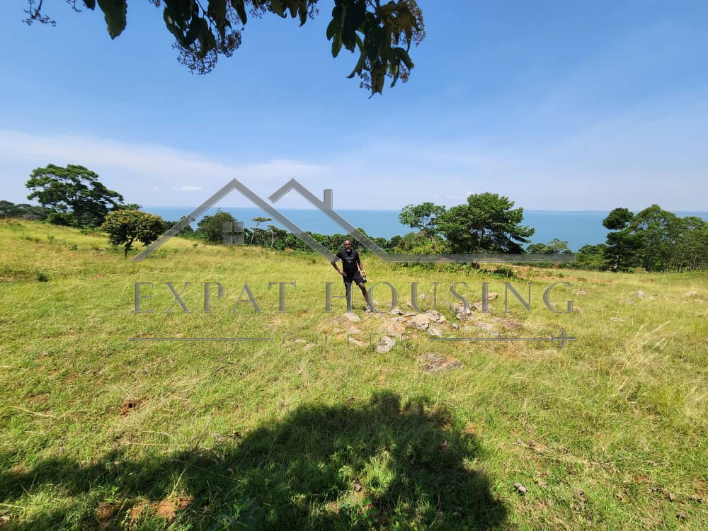 WhatsApp Image 2023-03-09 at 11.45.28 (1)