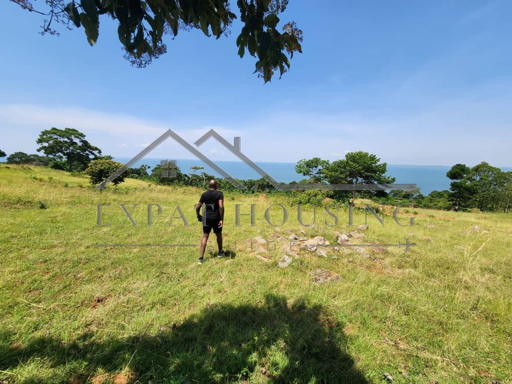 WhatsApp Image 2023-03-09 at 11.45.28 (2)