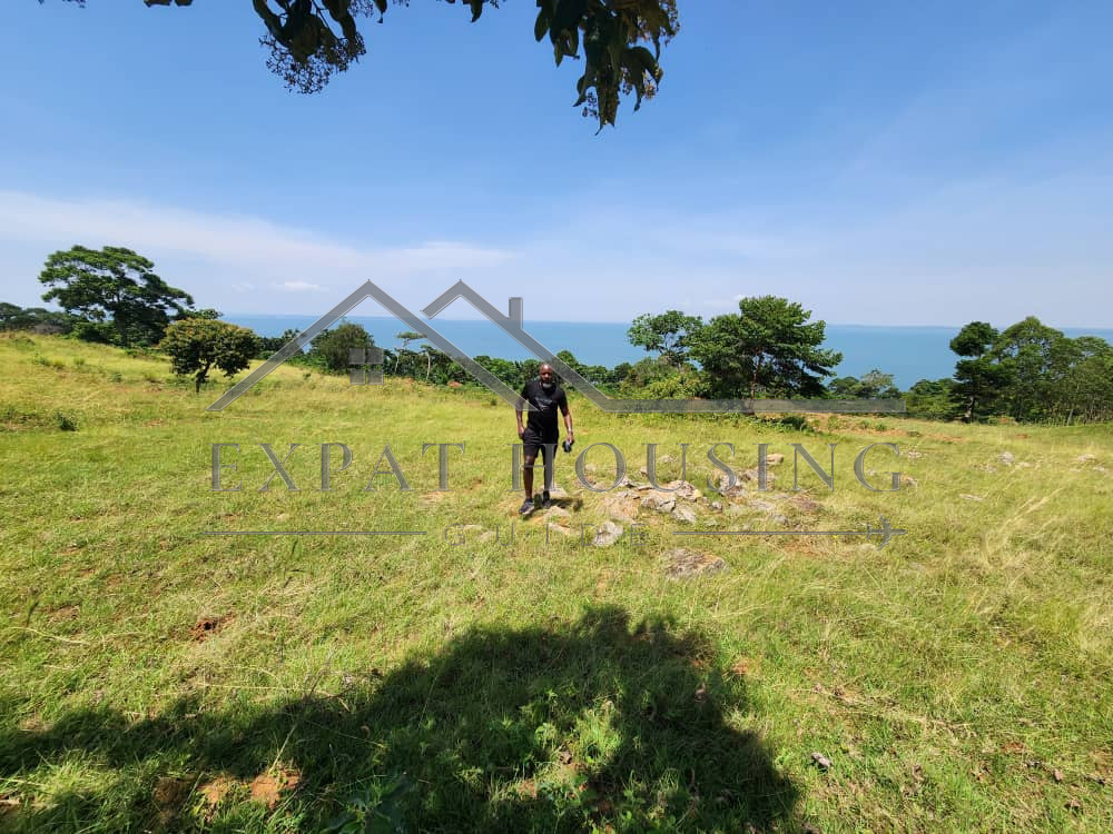 WhatsApp Image 2023-03-09 at 11.45.28