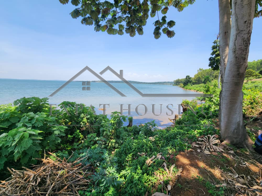 WhatsApp Image 2023-03-09 at 11.45.29