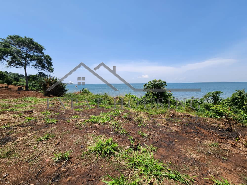 WhatsApp Image 2023-03-09 at 11.45.56