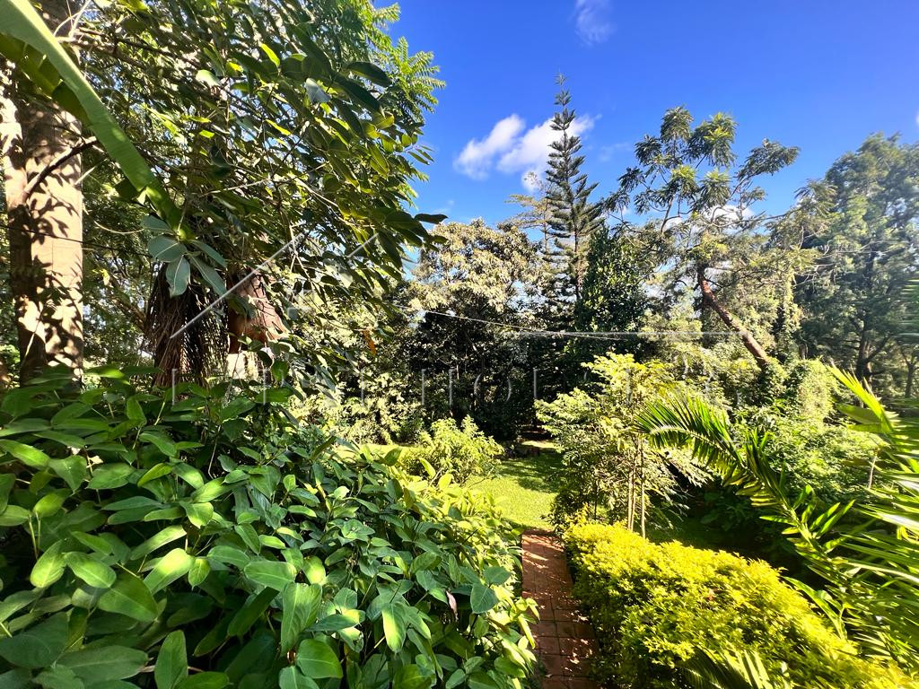 WhatsApp Image 2023-05-13 at 6.48.44 PM (2)