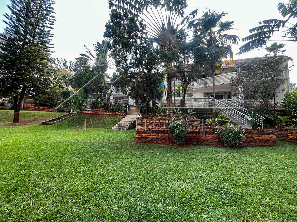 41c1cd3e-6eb3-4848-9010-56327c1cd34b