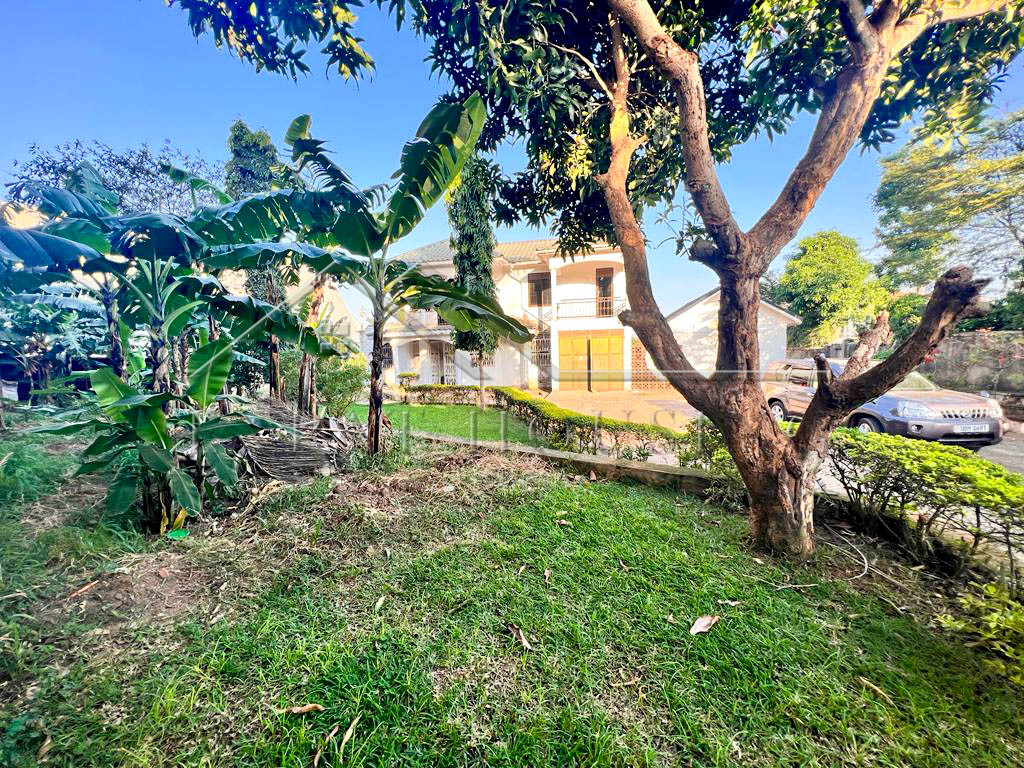 1c271d39-9907-4da6-bb58-e2e7ff400ad4