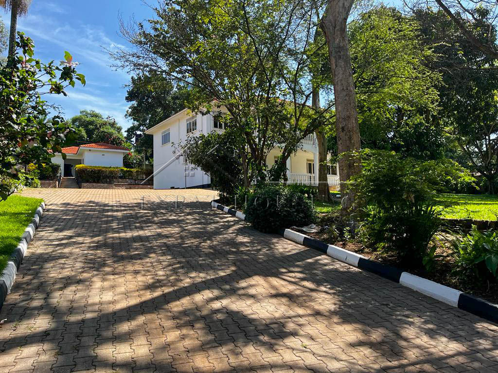 0031fc42-25f0-4e6a-b91d-d6bfafb98cdb