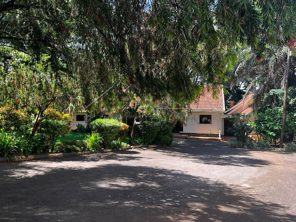 7a81d145-4bc4-4926-95d4-e7be85a81454