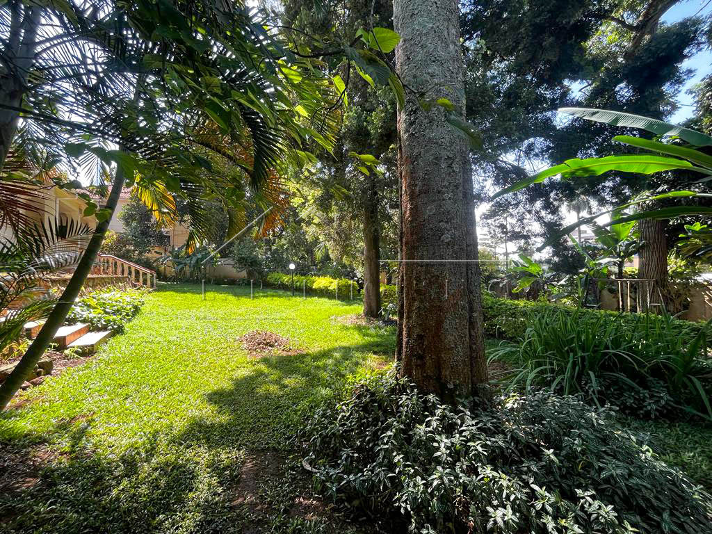 a1a5835a-7e16-450c-ba7c-48264df2c6d7