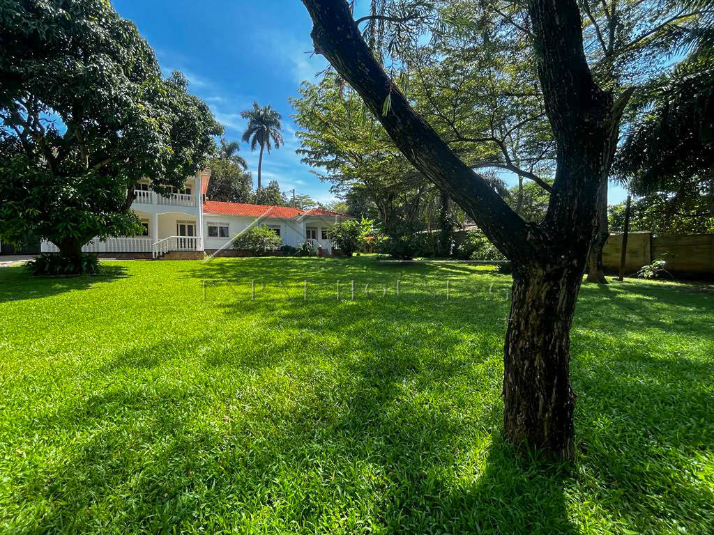 de280d78-a93f-45fd-ac55-61956974774e