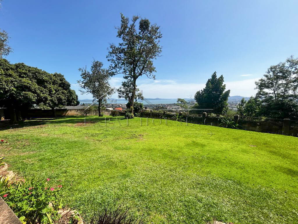 526de45a-944d-4306-96cb-047ff3d57ca7-2