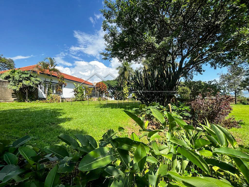 57fc47a9-d715-40a6-bcee-5e3cd1bf8f3f-2