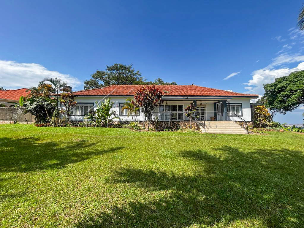 96b54b21-8af5-4a0c-b2d9-c688984edc4e-2