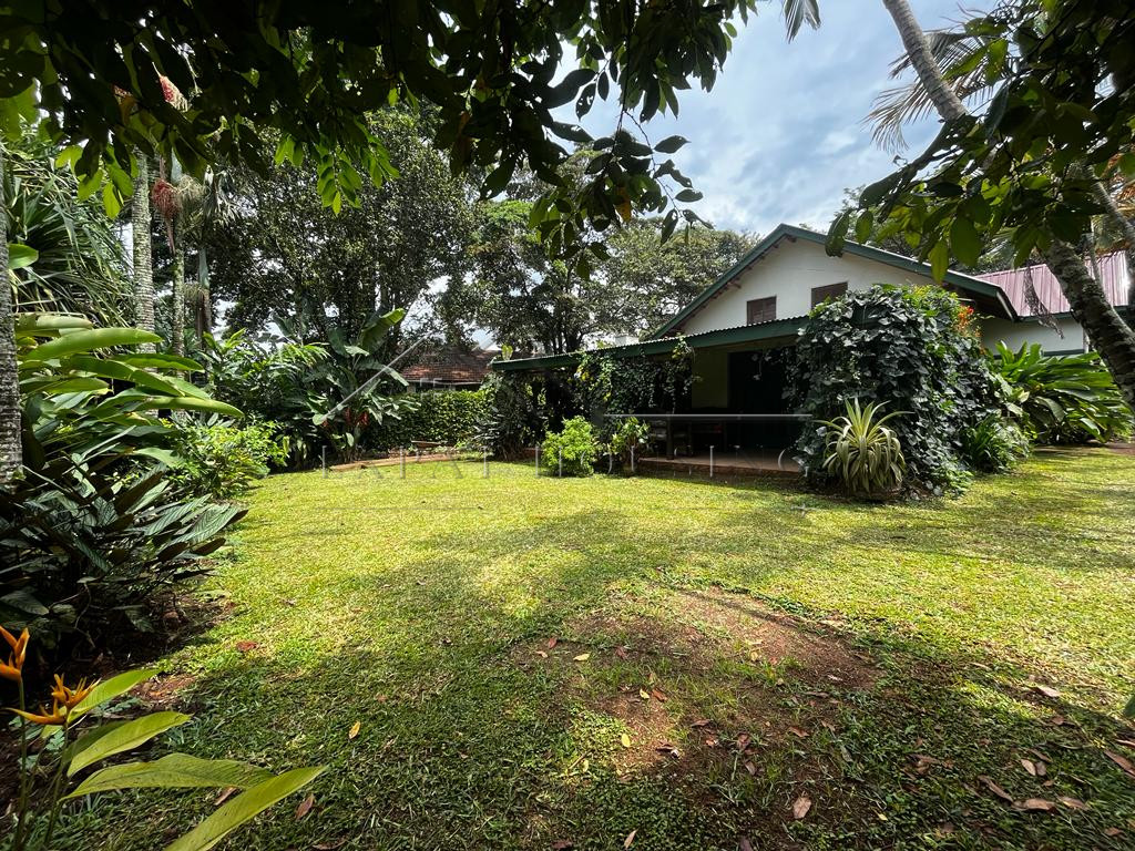 cbc6b041-55c0-4294-b3b5-1dc4716a32dd