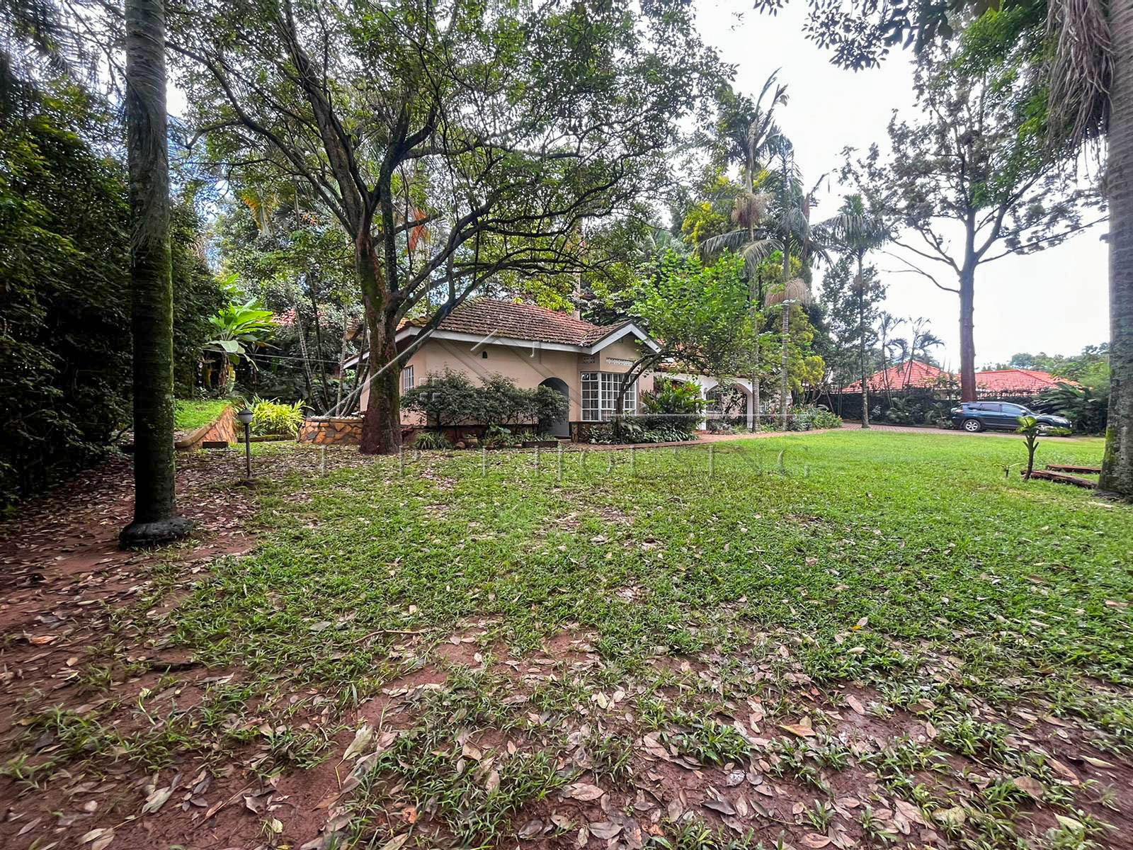 cc2e473d-af01-4920-ae95-5ead3a5c29d4