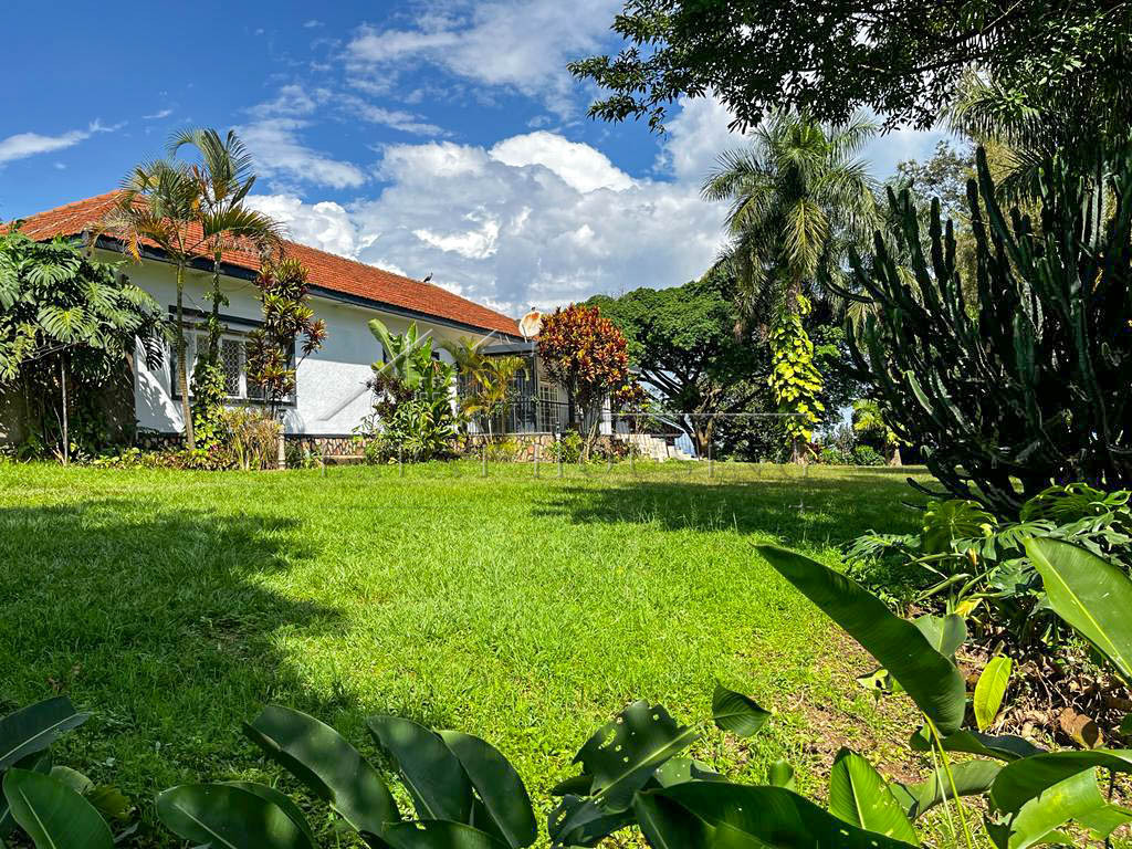 f2ae2863-6ce0-4f55-84f9-a4fe65494c97-2