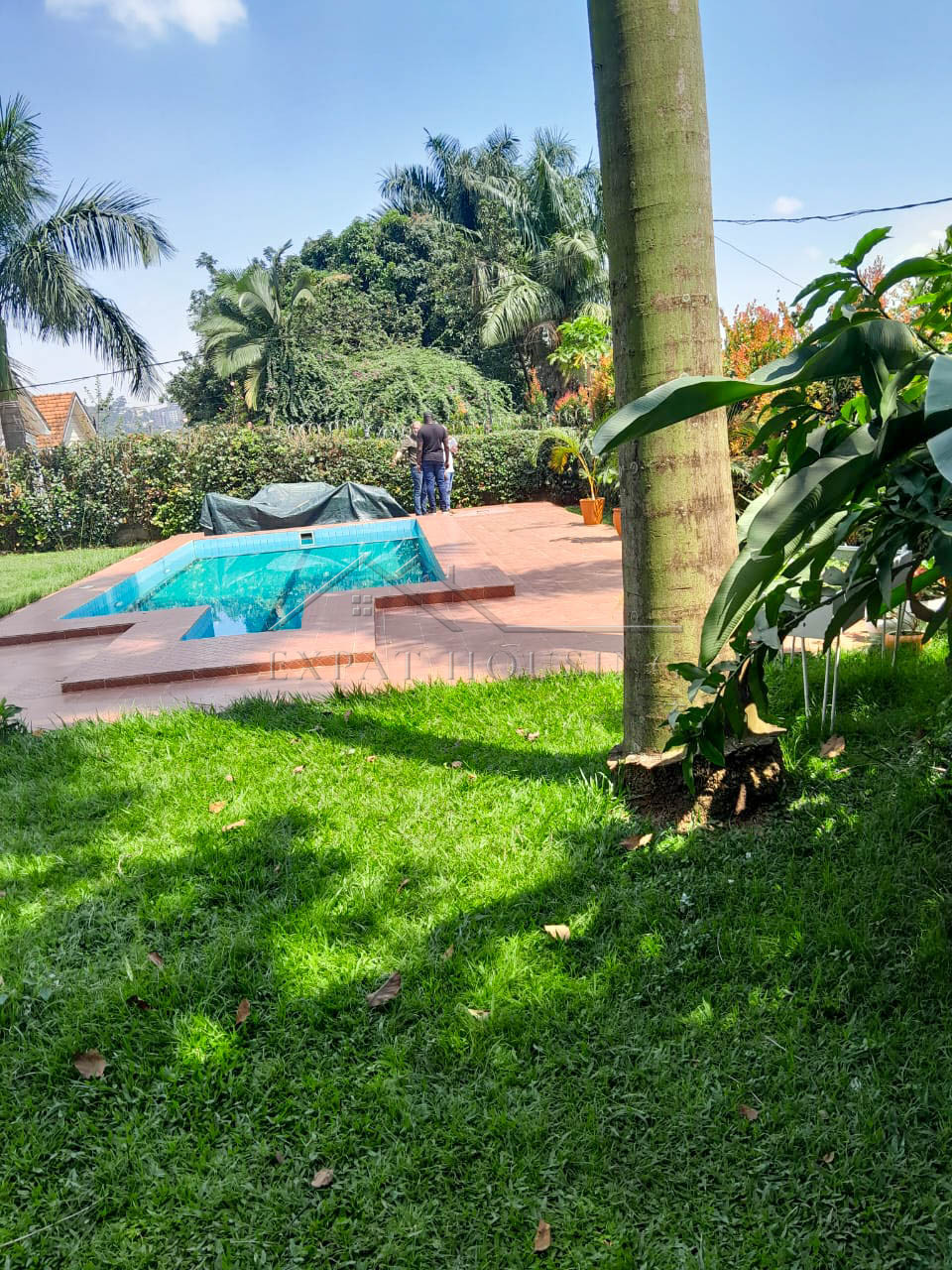 3b7f91e5-ec7b-4c24-8812-14ddea27adf6