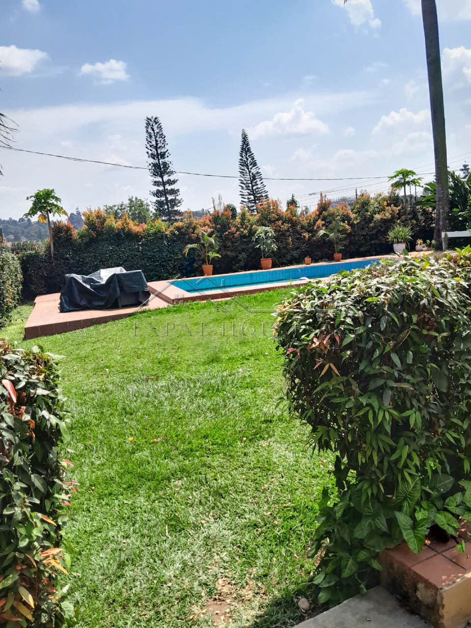 7dce9fdf-eb91-4498-b045-9ae20ad17003