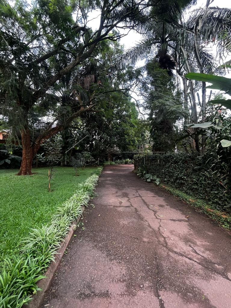 1b778252-944d-498b-8de9-52cc2221912f