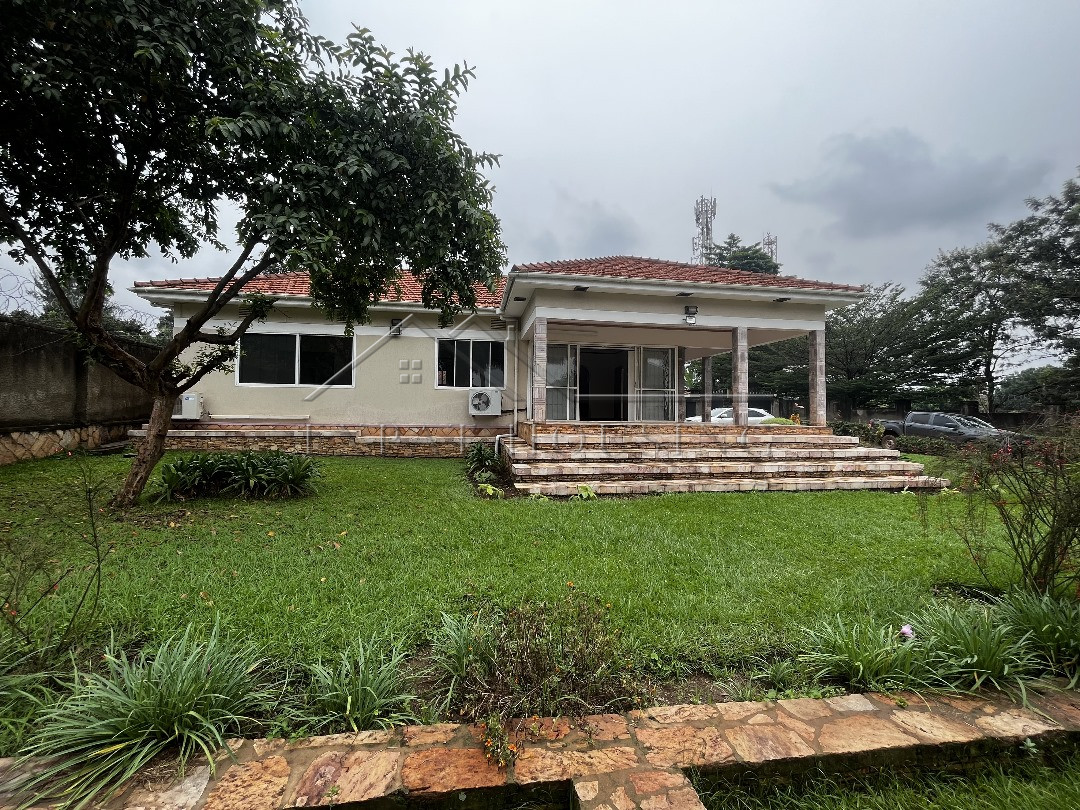 543d7e17-efe9-4cb7-848e-a4332e6dc234 (1)