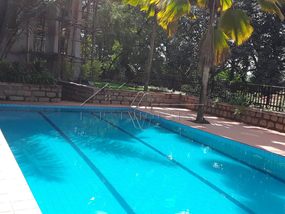 6cc461c1-9ad8-4e43-9254-bb02177fc3fb