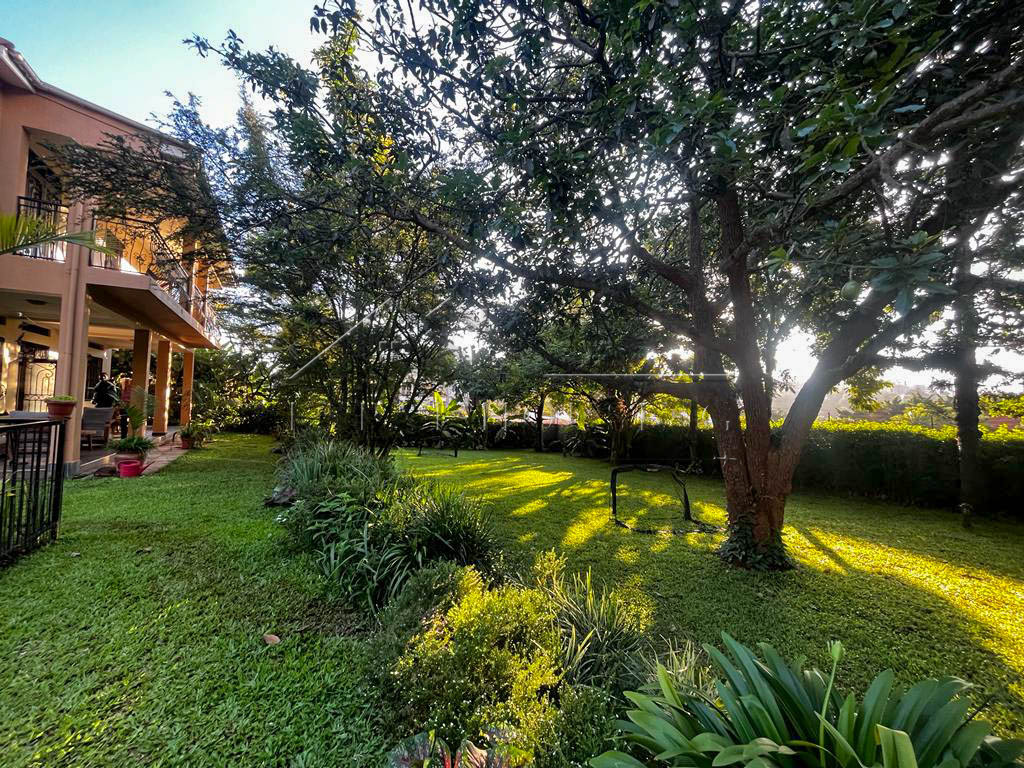 a6c4ad24-a5c4-4d5a-9fa3-e6137d28c5dd