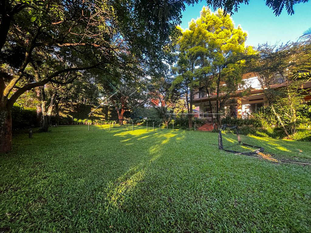 ce155599-4e97-41b0-af45-f07f64b985b7