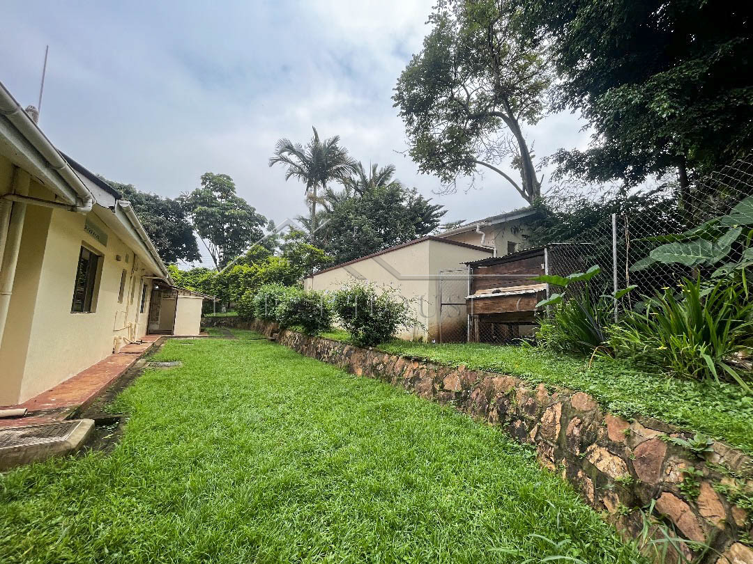 e3f484cb-3286-496b-adf6-b7e750948612