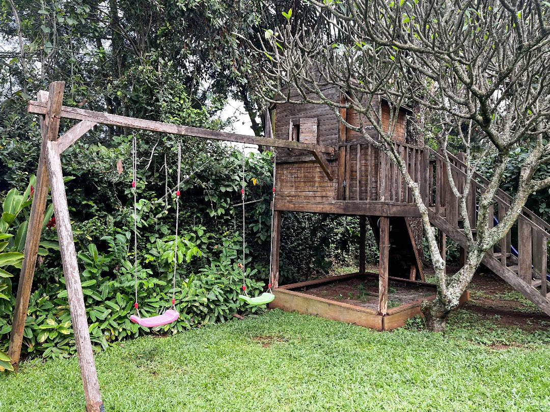 fc039254-7410-42fb-8d72-d99d6390e80c