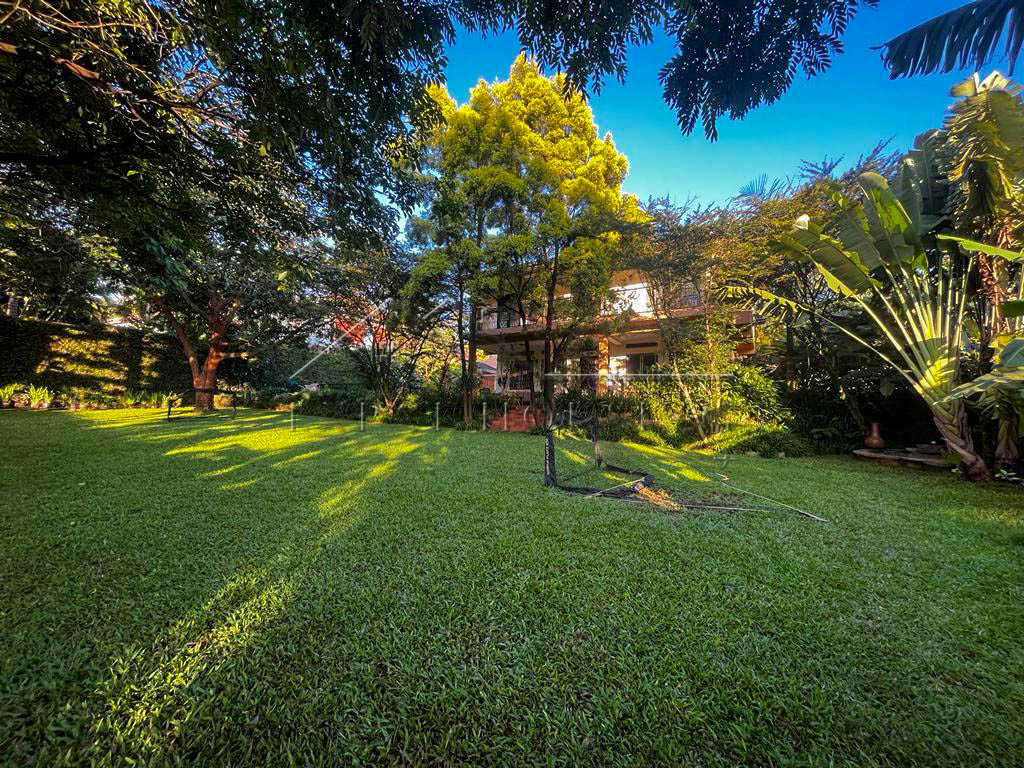 ff2b0f0f-8ef8-4497-b396-df20d7c5d0f3