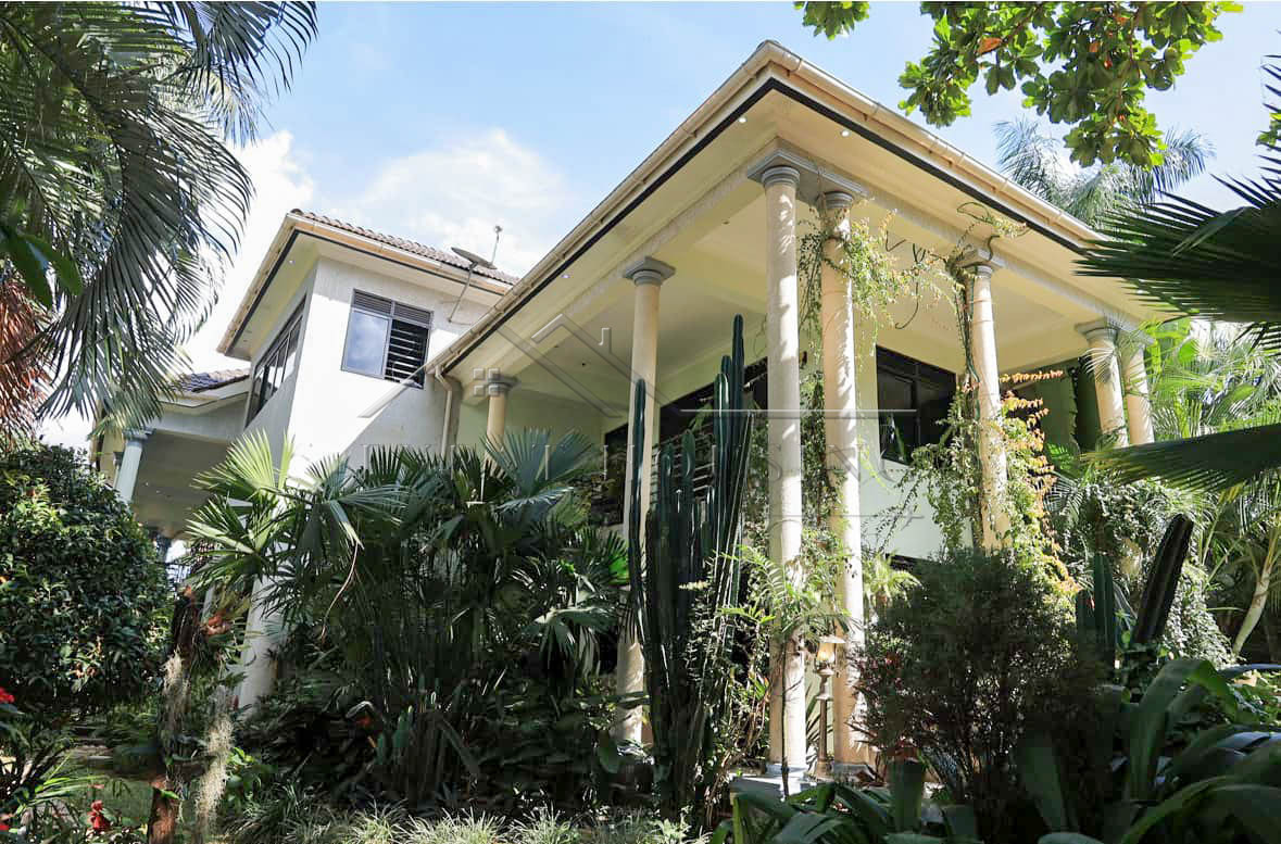 440933684_284532338052389_8890613262079912929_n