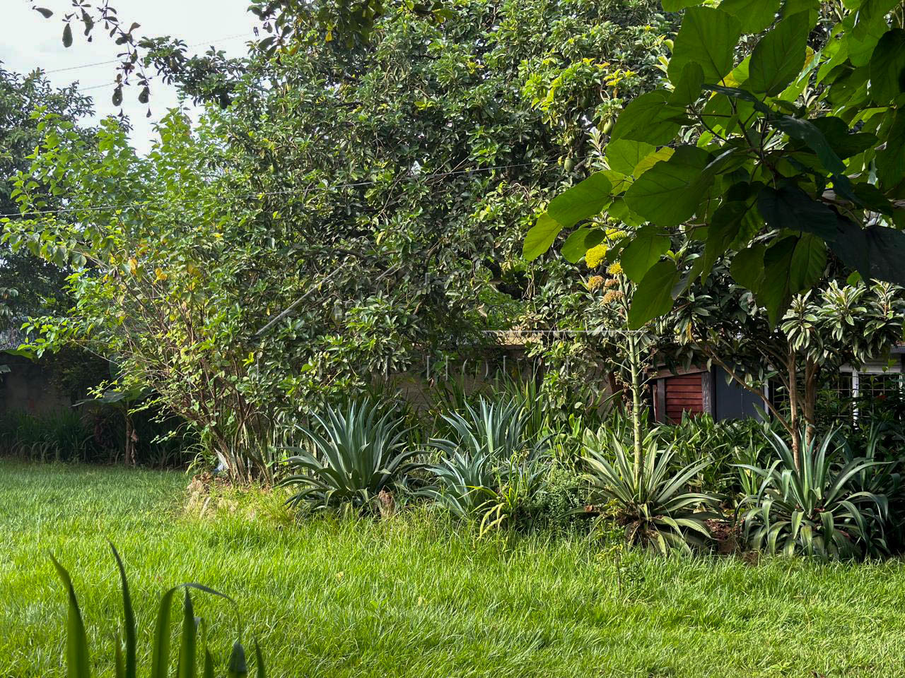 02fde60c-e524-4df8-a702-11f1fbf4c12f