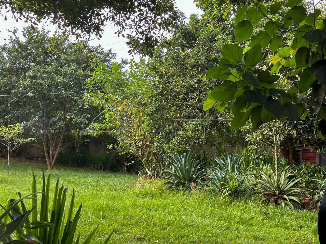 1673a285-848e-4a0d-8a34-a5cfb532accd