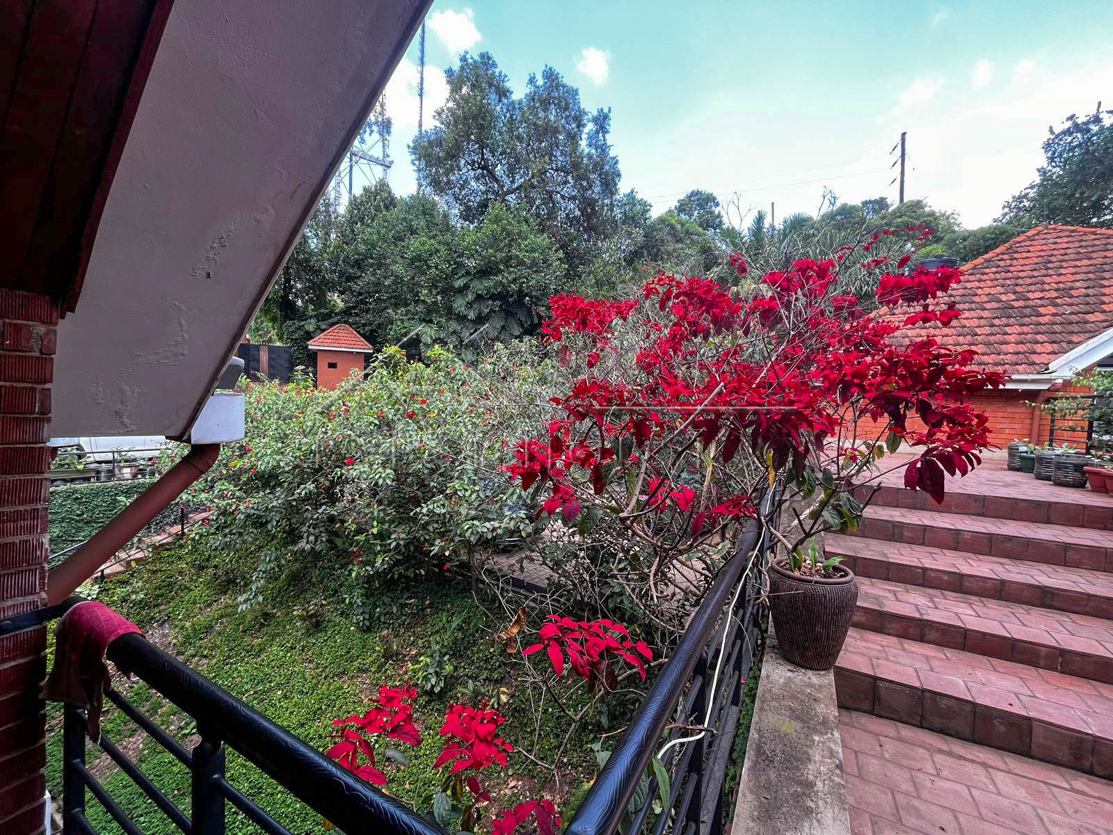 4c2416d4-6a7e-47ee-ade3-c69f22802e1c