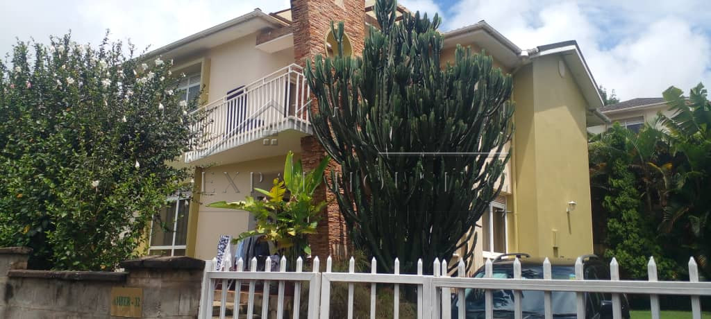 547e1d20-bcec-4ff5-b17a-8f819f6fa398