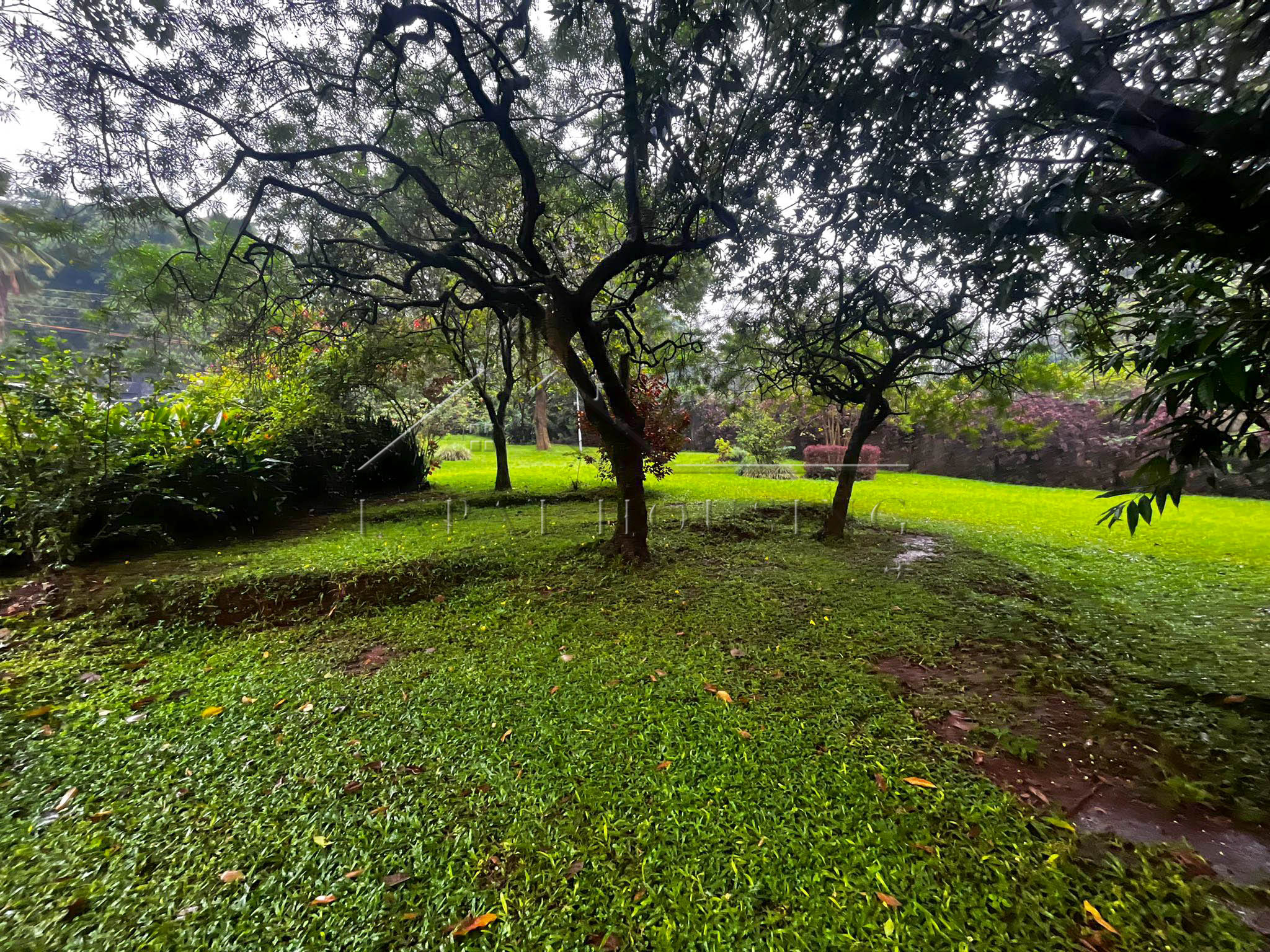 7bad5642-ae11-458e-88ab-18638e123825